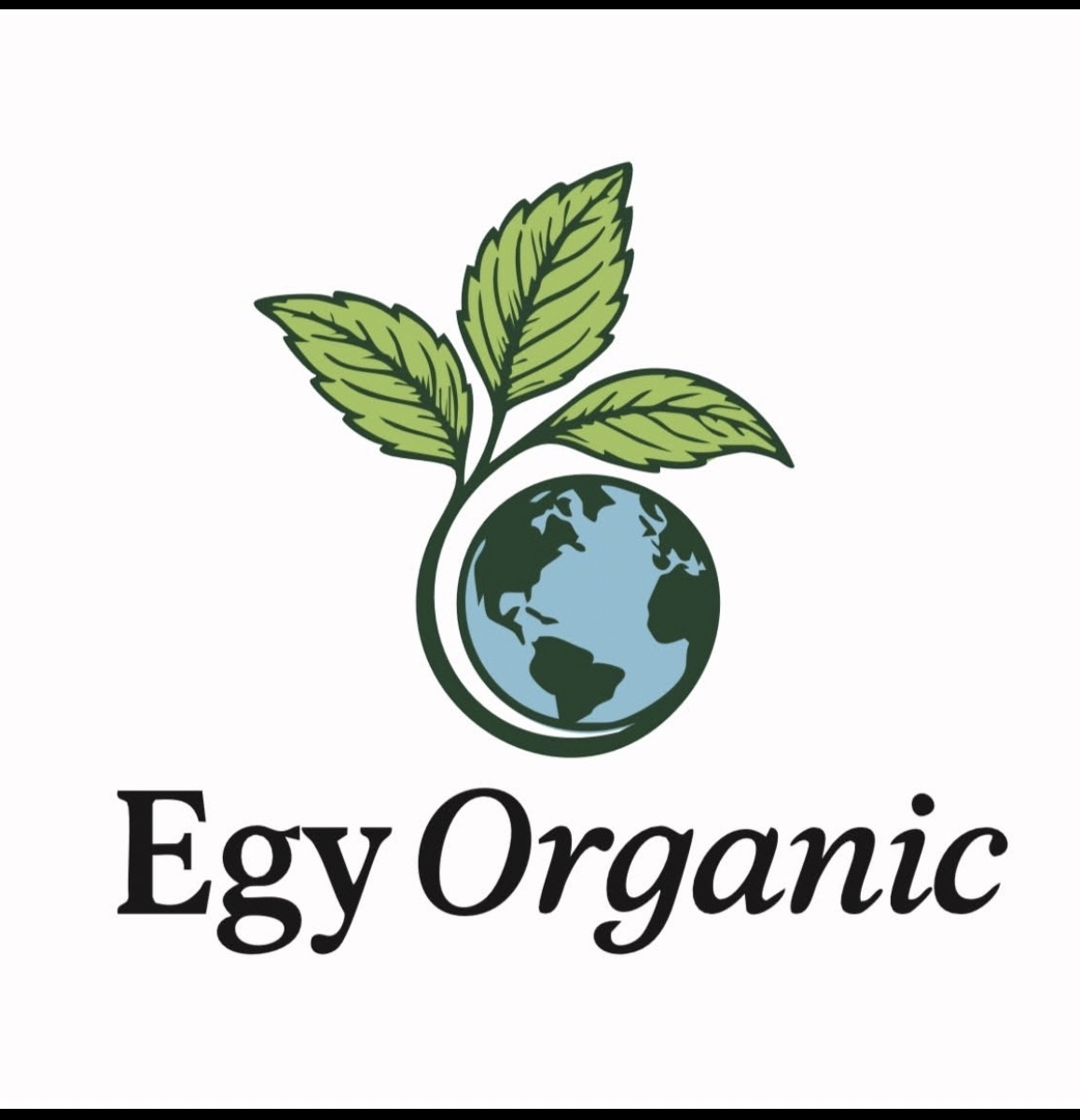 Omar Egy Organic
