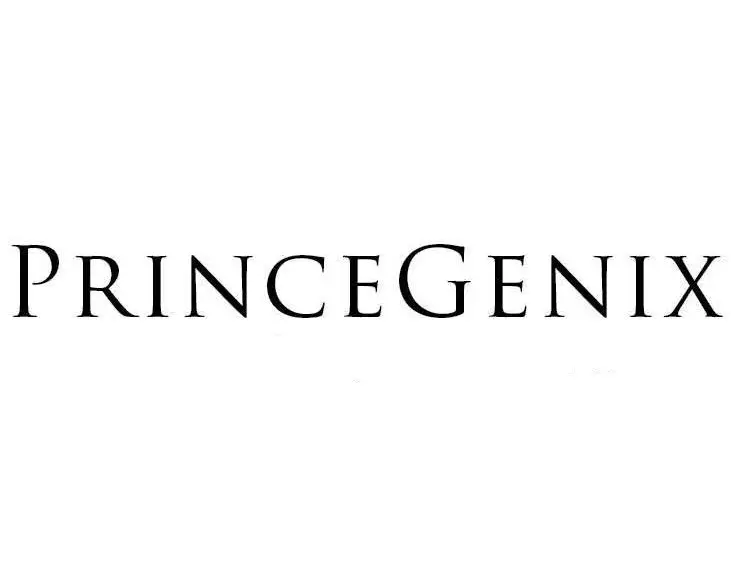 Princegenix logo