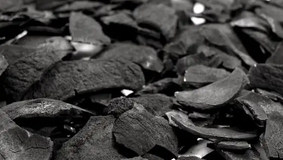 Fresh Carbon Co, management image 2