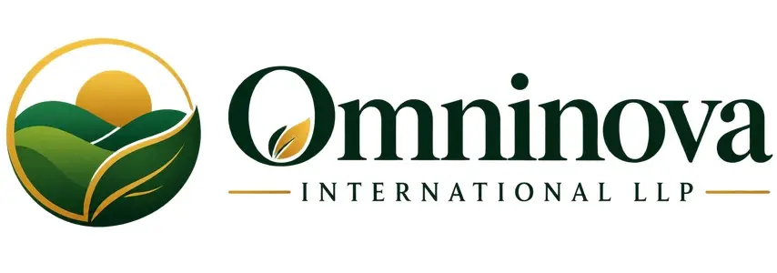 Omninova International LLP logo