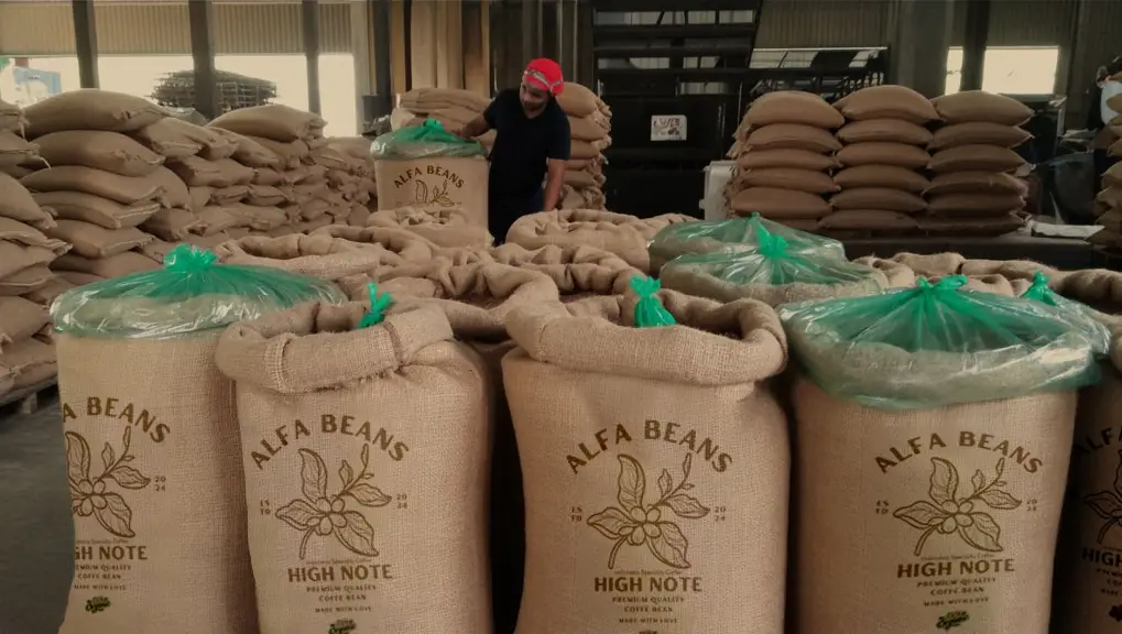 Alfabean company image 1