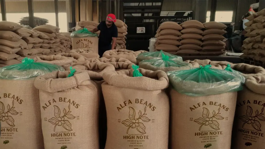 Alfabean factory image