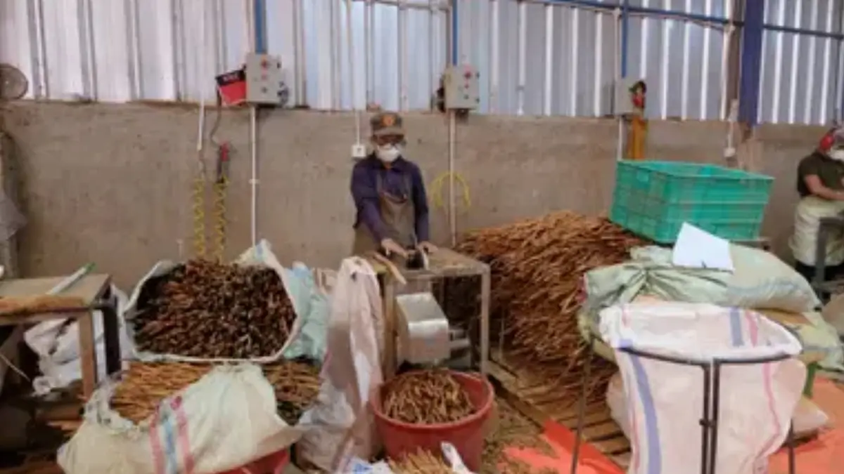 Futra Spices company image 1