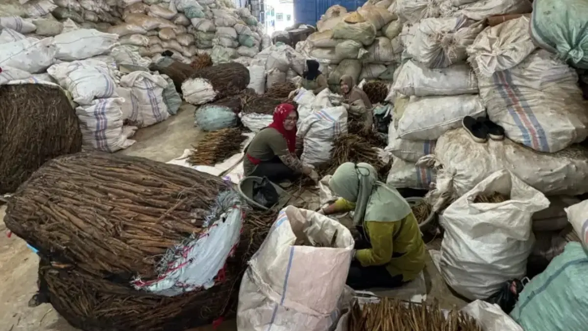 Futra Spices factory image