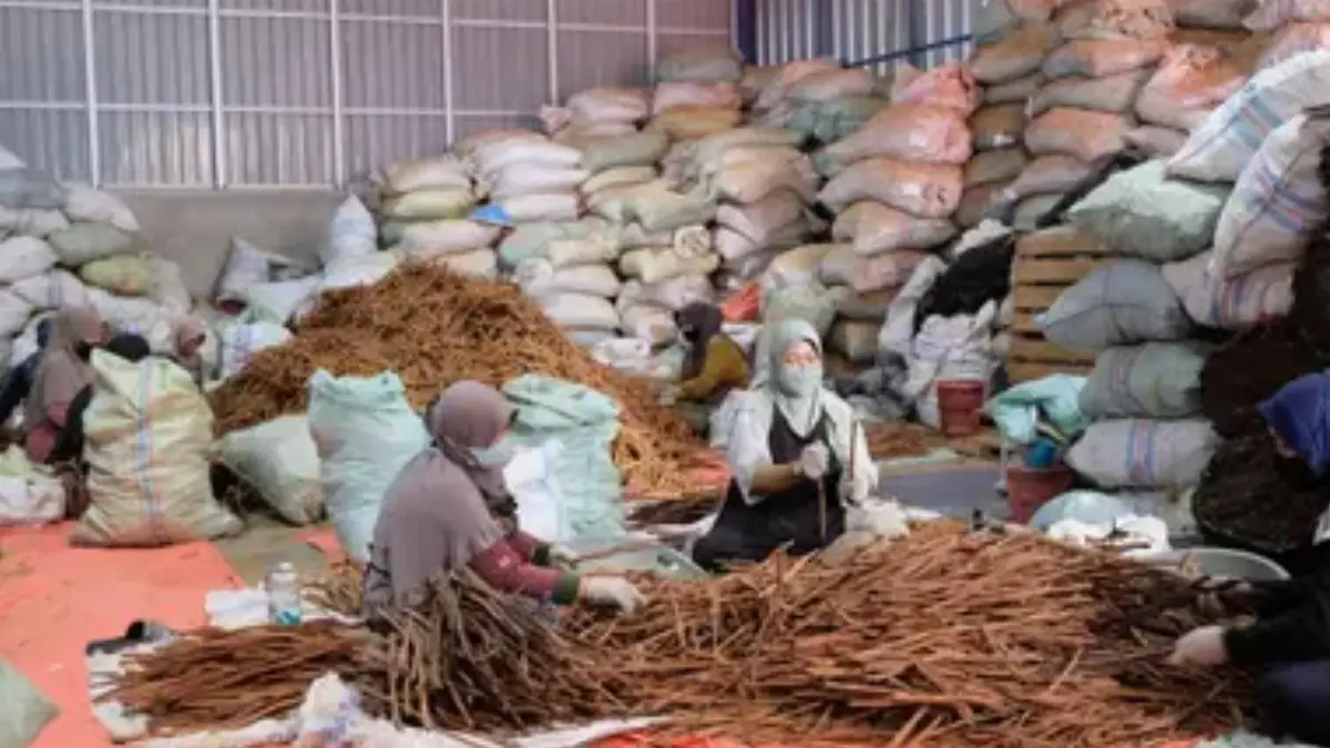 Futra Spices management image 1