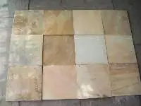 Fossil Mint Sandstone Slabs, Tiles