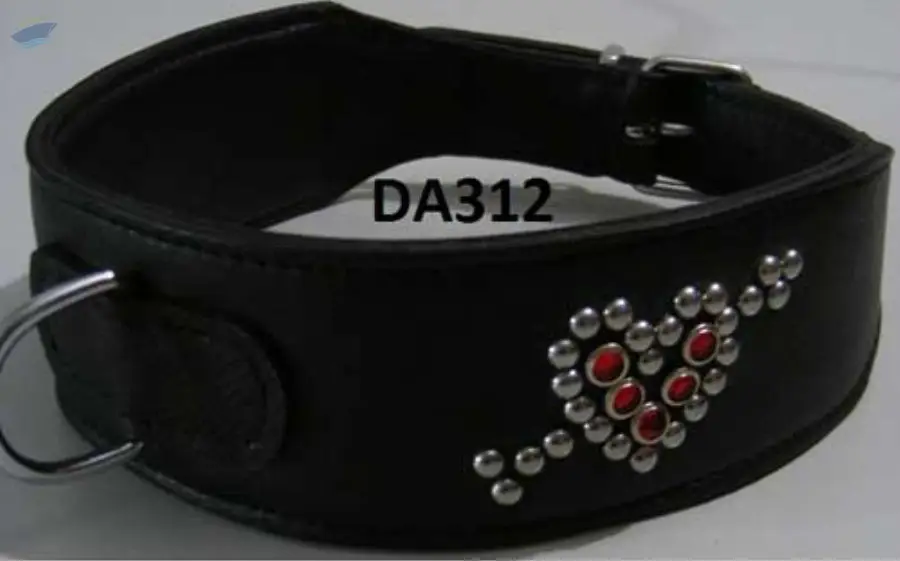 Dog Collar