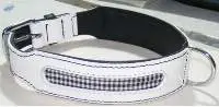 Dog Collar