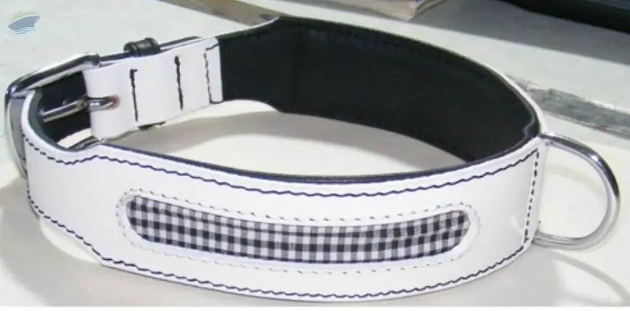 Dog Collar