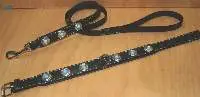 Dog Leash