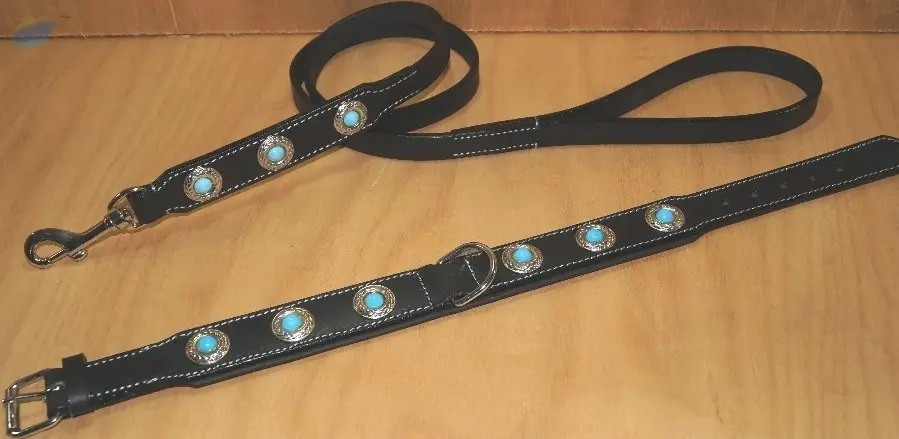 Dog Leash