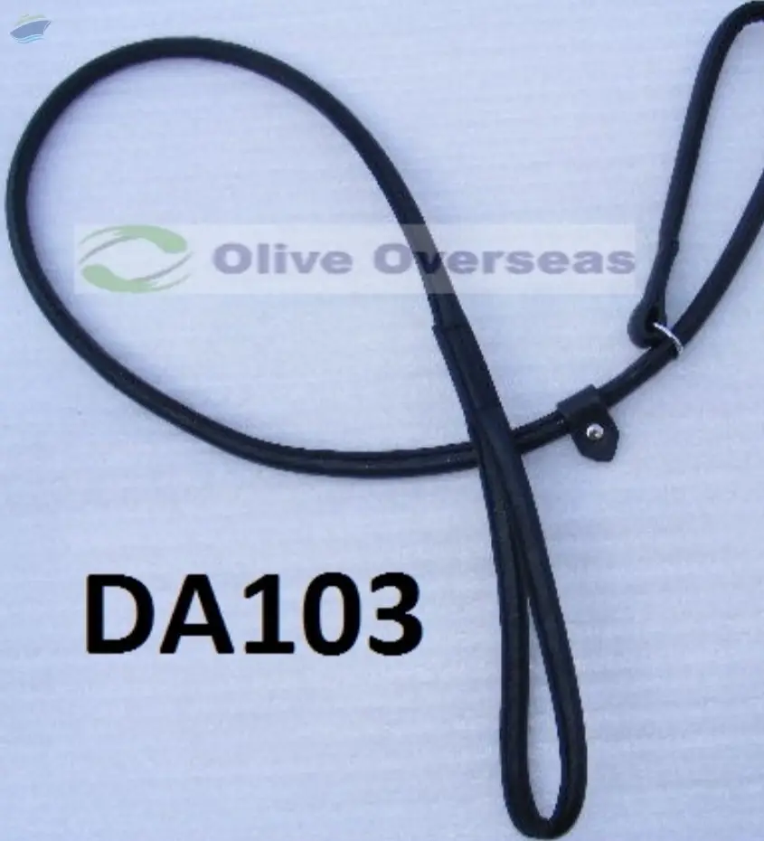 Dog Leash
