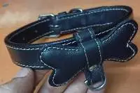 Dog Collar