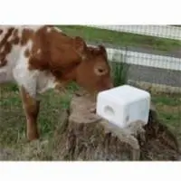 Premium Animal Feed Grade Salt for Livestock