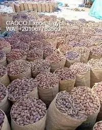 Dry Dates, Dried Dates
