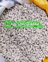 Navy White Beans
