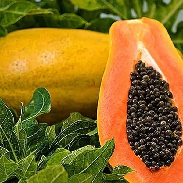Fresh Papaya