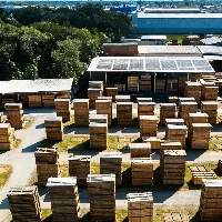 Pinus Lumber