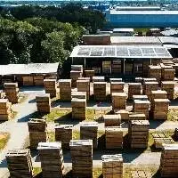 Pinus Lumber