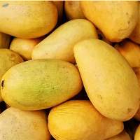 Fresh Mango