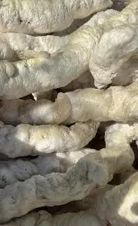 EPS Melted Lumps