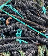 PP Ropes