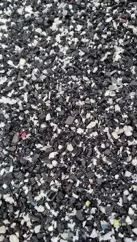 PBT