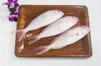 Threadfin Bream
