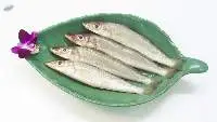 Silago Fish