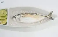 Indian Mackerel
