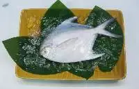 Silver Pomfret