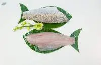 Golden Snapper Fillet (Skin On & Skin Less)