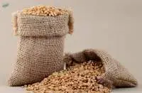 Small Grain Storage Bag