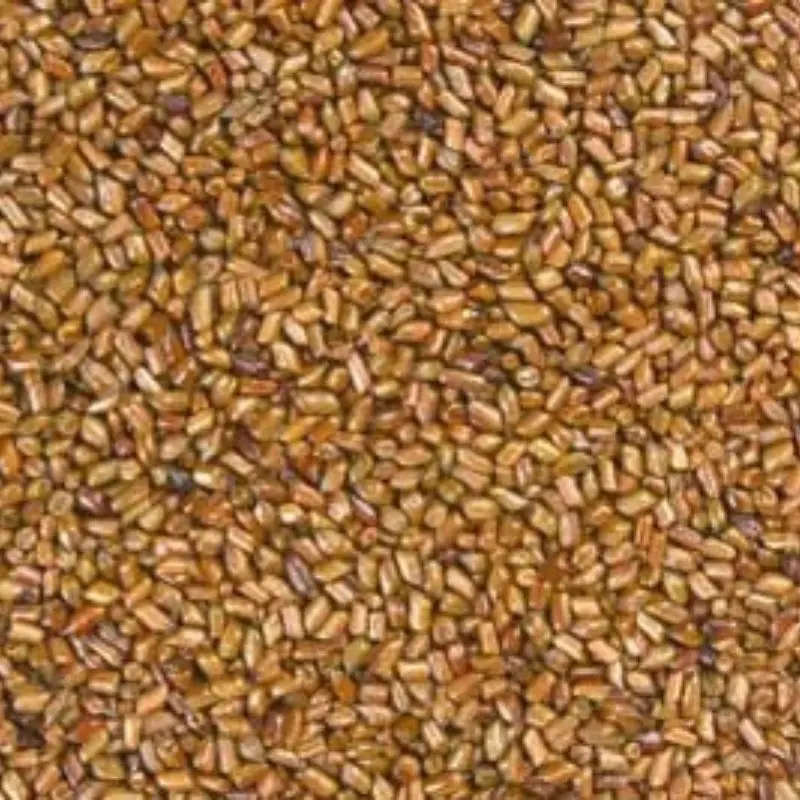 Cassia Tora Seeds