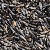 Niger Seed