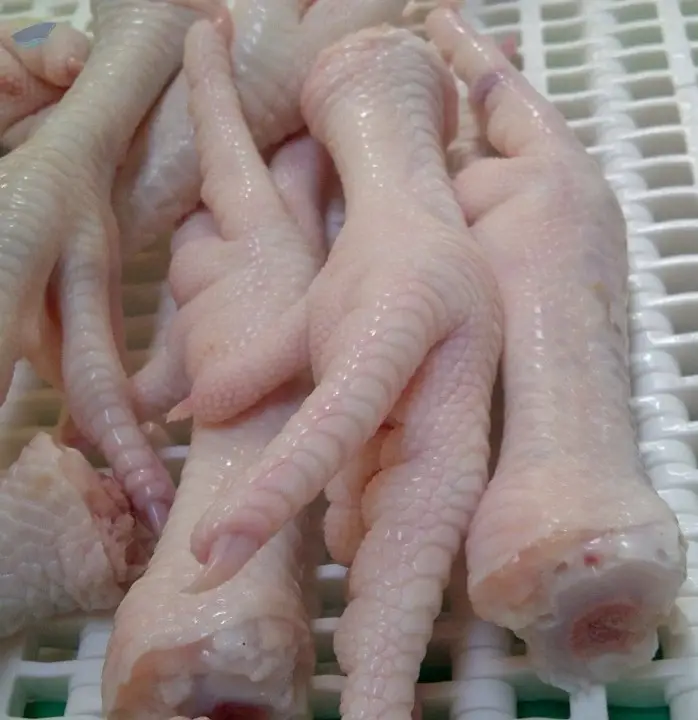 Chicken Paws chicken Feet