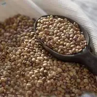 Premium Quality Pulse Horse Grams