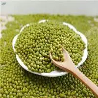 Premium Quality Green Gram (Moong)