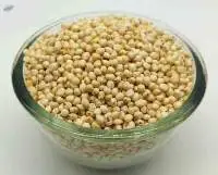 Export Grade Quality Sorghum (Jowar/Cholam)