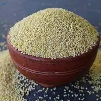 Export Grade Quality Little Millet (Samai)