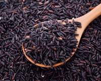 Traditional Kavuni Rice (Black Rice)