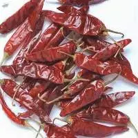 Premium-quality Dried Endo-5 Red Chilli