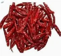 Premium Quality Wrinkle 273 Red Chilli