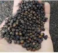 Black Pepper