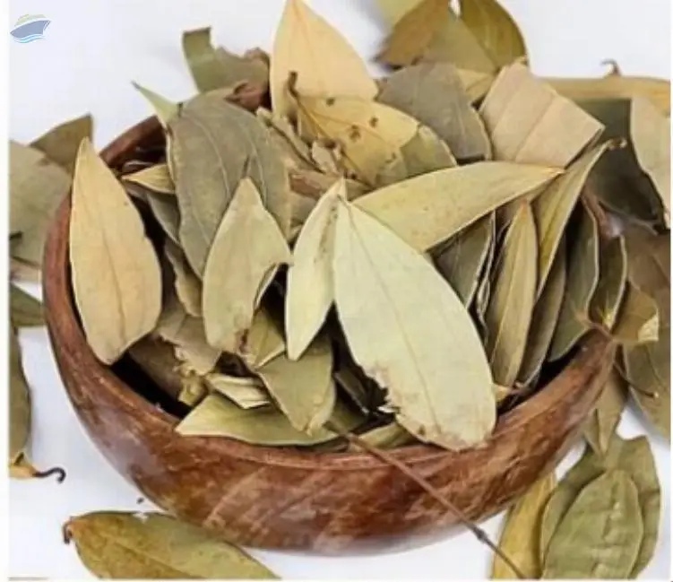 Bay Leaf