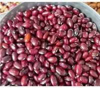 Red Beans or Rajma