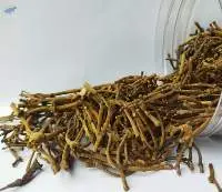 Clove Stem