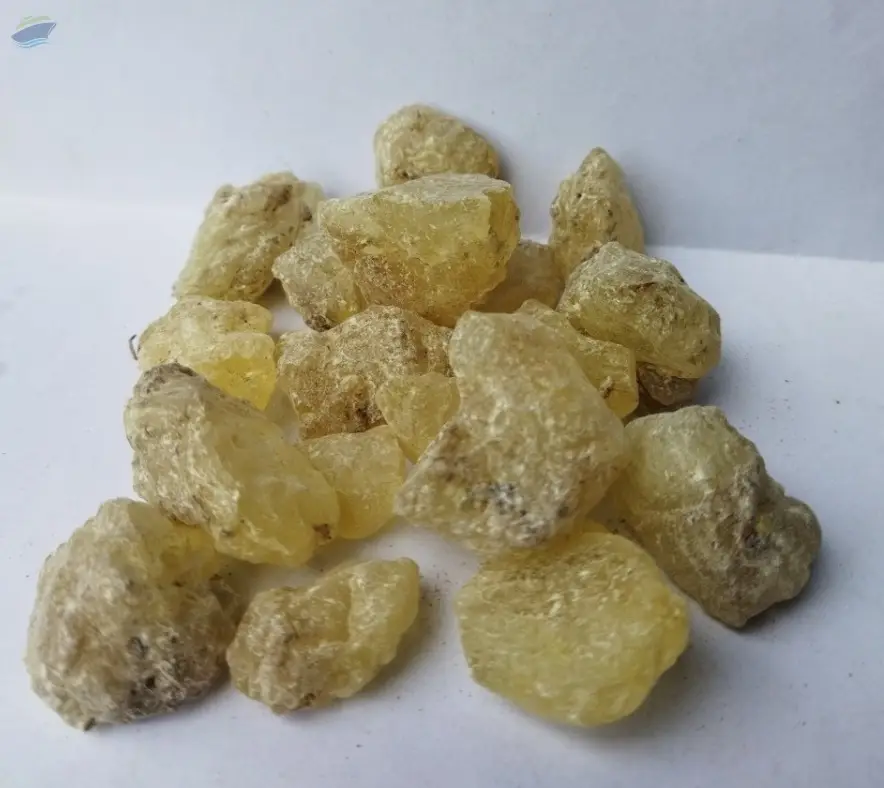 Gum Dammar