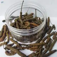 Long Pepper