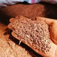 Cinnamon AA Small Broken